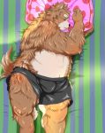  2012 anthro belly blush canid canine canis clothing domestic_dog humanoid_hands inunoshippo lying male mammal overweight overweight_male pillow solo underwear 
