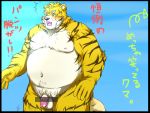  2012 anthro balle belly blush felid humanoid_penis inunoshippo japanese_text male mammal moobs nipples overweight overweight_male pantherine penis solo text tiger 