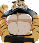  2019 anthro belly blush bodily_fluids bottomwear clothing felid fur humanoid_hands hyaku_(artist) male mammal overweight overweight_male pantherine shirt shorts solo sweat tiger topwear underwear undressing yellow_body yellow_fur 