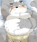  2019 anthro belly blush clothing felid feline humanoid_hands hyaku_(artist) lying male mammal overweight overweight_male solo underwear 