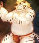  2019 anthro asian_clothing belly bulge clothing east_asian_clothing eyewear felid fundoshi fur glasses hi_res humanoid_hands japanese_clothing laohu licho_(tas) male mammal navel overweight overweight_male pantherine solo tiger tokyo_afterschool_summoners underwear video_games white_body white_fur 