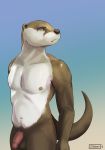  2019 absurd_res anthro athletic balls bottomwear brown_body brown_fur circumcised clothing flaccid fur hi_res humanoid_penis lutrine male mammal muscular muscular_male mustelid otterboxed painting pants penis placid pubes rogue_fang simple_background simple_shading solo underwear white_body white_fur 