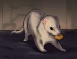 2020 alexpahomov black_eyes cage digital_drawing_(artwork) digital_media_(artwork) domestic_ferret feral fluffy fluffy_tail food_in_mouth fur grey_markings hi_res mammal markings mustelid musteline object_in_mouth on_blanket pink_nose quadruped short_fur solo tail true_musteline weasel whiskers white_body white_fur 