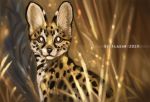  2019 ambiguous_gender brown_eyes digital_media_(artwork) felid feline feral flashw fur mammal serval sitting solo spots spotted_body spotted_fur tan_body tan_fur 