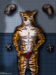  2019 anonymous_character anthro apache_(artist) biceps bulge clothing communal_shower digital_media_(artwork) felid fur hair hi_res jockstrap looking_at_viewer male mammal muscular muscular_male nipples nude pantherine pecs simple_background smile solo striped_body striped_fur stripes tiger underwear undressing 