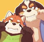  2019 96tning ailurid anthro belly bernese_mountain_dog canid canine canis clothing domestic_dog duo green_eyes hoodie humanoid_hands male mammal molosser mountain_dog overweight overweight_male red_panda simple_background swiss_mountain_dog topwear yellow_background yellow_eyes 