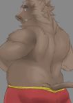  2019 anthro belly butt clothing hi_res ikaring male mammal overweight overweight_male simple_background solo suid suina sus_(pig) underwear wild_boar 