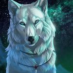  1:1 2017 black_nose blue_eyes canid canine canis detailed_background digital_media_(artwork) headshot_portrait mammal night outside portrait sky star starry_sky wolf wolfroad 