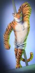 2016 anthro black_markings black_stripes clothed clothing dancing dated disney felid front_view full-length_portrait fur glistening glistening_eyes hand_behind_head hi_res hufnaar male male_anthro mammal markings mouth_closed navel orange_body orange_eyes orange_fur pantherine pink_nose pole pole_dancing portrait signature simple_background solo standing striped_arms striped_legs striped_markings striped_tail stripes stripper_pole tail tail_markings tiger tiger_dancer_(zootopia) topless white_body white_fur zootopia