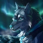  1:1 2016 blue_eyes blue_nose canid canine canis detailed_background digital_media_(artwork) fur grey_body grey_fur mammal night open_mouth outside sky star starry_sky teeth wolf wolfroad 