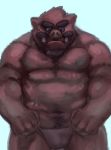  2017 anthro clothing humanoid_hands ikaring male mammal overweight overweight_male pubes solo suid suina sus_(pig) underwear wild_boar 