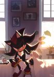  2019 ambiguous_gender anthro bed clothing detailed_background duo eulipotyphlan feral footwear furniture gloves handwear hedgehog hi_res male mammal photo plant red_eyes shadow_the_hedgehog signature sonic_(series) uno_yuuji video_games window 