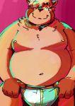  2018 anthro belly brown_body brown_fur bulge canid canine clothing fur humanoid_hands male mammal moobs navel nipples overweight overweight_male raccoon_dog realiron_(artist) simple_background solo tanuki underwear 