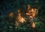  ambiguous_gender asian_golden_cat brown_body brown_eyes brown_fur catopuma detailed_background felid feline feral fluffy fur grass inner_ear_fluff johis light lighting mammal outside pink_nose plant solo tuft whiskers 