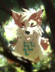 2019 5_fingers anthro canid canine day detailed_background digital_media_(artwork) eyes_closed fingers forest hair lukiri male mammal open_mouth outside solo teeth tongue tree white_hair 
