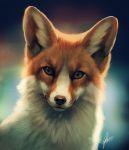  abstract_background ambiguous_gender black_nose canid canine detailed feral fluffy fox fur inner_ear_fluff johis looking_at_viewer mammal marble_fox orange_body orange_fur red_fox signature solo tuft whiskers white_body white_fur 