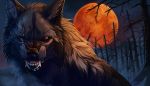  2015 7:4 absurd_res black_body black_fur black_lips black_nose canid canine canis digital_media_(artwork) fur hi_res lips mammal moon night outside sky solo whiskers wolf wolfroad 