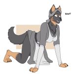  1:1 2019 absurd_res all_fours alpha_channel alternate_species anthro barefoot biped bohemian_shepherd breasts canid canine canis clothing domestic_dog dress female grey_hair hair hi_res implied_transformation kingdom_come:_deliverance mammal multi_breast open_mouth ponytail simple_background snout solo surprise theresa_(kcd) transparent_background unidentified-tf 