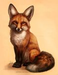  2015 2016 ambiguous_gender brown_body brown_eyes brown_fur canid canine detailed dipstick_tail facial_markings feral fluffy fluffy_tail fox fur head_markings inner_ear_fluff johis leg_markings mammal markings multicolored_tail orange_body orange_fur red_fox signature simple_background socks_(marking) solo tan_background text tuft url whiskers white_body white_fur 