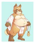  2013 anthro asian_clothing belly brown_body brown_fur bulge canid canine clothing east_asian_clothing fundoshi fur hi_res humanoid_hands japanese_clothing male mammal moobs navel overweight overweight_male pubes raccoon_dog simple_background solo tanuki underwear white_clothing white_underwear zangusuu 