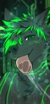  2019 angiewolf anthro black_body black_fur black_nose canid canine digital_media_(artwork) fur green_eyes green_hair hair headshot_portrait male mammal portrait smile solo tongue windowlicker 