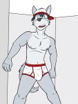  anthro backwards_baseball_cap baseball_cap briefs bulge canid canine canis clothed clothing fuze hat headgear headwear hi_res male mammal navel nipples solo topless underwear wolf 