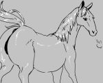  anus equid equine female feral hi_res horse mammal nude solo ギムザ 