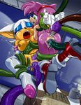  amy_rose kandlin rouge_the_bat sonic_team tagme 