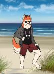  4_fingers 4_toes anthro barefoot beach biped blake bottomwear brown_nose canid canine canis cheek_tuft clothed clothing cloud detailed_background digital_media_(artwork) digitigrade domestic_dog eyewear face_tuft fingers fully_clothed fur grass hair hand_on_hip head_tuft hi_res holding_object husky jacket kittell_(artist) looking_at_viewer male mammal nature neck_tuft nordic_sled_dog open_jacket orange_body orange_fur outside pose sand sea seaside shirt shorts sky smile smirk solo spitz sunglasses t-shirt tall_grass toes topwear tuft water white_body white_fur 
