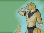  4:3 anthro clothed clothing digital_media_(artwork) ismar linuell lizard loincloth looking_at_viewer male muscular reptile scalie solo 