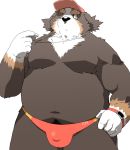  2019 anthro belly black_nose bulge canid canine canis clothing domestic_dog hat headgear headwear humanoid_hands kisukemk777 male mammal moobs navel one_eye_closed overweight overweight_male pubes simple_background solo swimwear white_background wink 