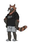  2019 anthro bottomwear brown_body brown_fur canid canine clothing cyanroll fur humanoid_hands hybrid kuon_(cyanroll) male mammal procyonid raccoon raccoon_dog shirt shorts simple_background slightly_chubby solo tanuki topwear white_background 