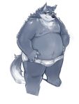  2016 absurd_res anthro belly black_nose briefs canid canine canis clothing eyewear glasses hi_res humanoid_hands kita_9999 male mammal moobs nipples overweight overweight_male simple_background solo tighty_whities underwear white_background white_clothing white_underwear wolf 
