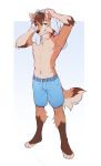  2019 4_toes 5_fingers absurd_res anthro brown_hair brown_nose canid canine canis clothed clothing digital_media_(artwork) digitigrade domestic_dog fingers fumikotik hair hi_res male mammal navel simple_background solo toes topless 
