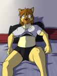  anthro bed biped briefs bulge clothed clothing crop_top furniture fuze fuzeyeen hi_res hyaenid male mammal midriff navel on_bed shirt sitting solo spotted_hyena topwear underwear 