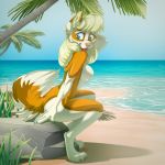  1:1 2019 4_toes 5_fingers anthro beach biped blonde_hair blue_eyes breasts brown_body brown_fur butt canid canine canis claws day detailed_background dipstick_tail domestic_dog female fingers fluffy fluffy_tail fur grass hair hand_behind_head long_hair looking_back mammal missy_(paloma-paloma) multicolored_body multicolored_fur multicolored_tail open_mouth outside palm_tree paloma-paloma pawpads paws pink_nose pose rock sand sea seaside side_boob side_view sitting sky solo toes tree water white_body white_fur 