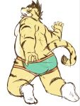  2019 anthro belly butt clothing felid fur humanoid_hands inuryu male mammal moobs pantherine simple_background slightly_chubby solo tiger underwear white_background yellow_body yellow_fur 