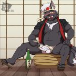  2019 absurd_res alcohol anthro asian_clothing balls belly beverage blush canid canine canis clothing digital_media_(artwork) drunk east_asian_clothing erection fundoshi fur hi_res humanoid_penis japanese_clothing looking_at_viewer male mammal nell-chan nipples penis sake solo substance_intoxication underwear wolf 