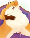  anthro balls belly big_belly biped bodily_fluids canid canine cum fox genital_fluids hi_res humanoid_penis jingus male mammal nude obese obese_male overweight overweight_male penis sitting solo sweat 