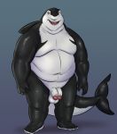  balls belly diphallism fish gatorbeast hi_res humanoid_penis lenny_(shark_tale) male marine moobs multi_penis nude open_mouth overweight overweight_male penis shark shark_tale solo 