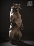  3d_(artwork) black_nose claws cosmiclife digital_media_(artwork) feet female fur mammal nude paws pinup pose procyonid raccoon realistic semi-anthro smile solo standing sue_andy_(cosmiclife) teeth 