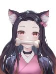  1girl animal_ear_fluff animal_ears black_choker black_hair blush bone cat_ears choker commentary_request forehead g_home hair_ribbon highres japanese_clothes kamado_nezuko kemonomimi_mode kimetsu_no_yaiba kimono korean_commentary long_hair looking_at_viewer mouth_hold open_clothes pink_kimono pink_ribbon purple_eyes ribbon simple_background solo upper_body white_background 