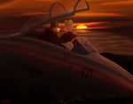  2019 aircraft airplane canid canine detailed_background digital_media_(artwork) f-14 male mammal sunset yeenr 