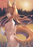  1girl animal_ears blush breasts brown_hair fang field forest highres holo log long_hair looking_at_viewer nature nstch_root_a open_mouth red_eyes spice_and_wolf standing sun tail wolf_ears wolf_tail 