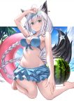  1girl animal_ears arm_up blue_eyes braid breasts cleavage commentary_request food fox_ears fox_tail fruit full_body hair_between_eyes highres hololive kneeling long_hair looking_at_viewer medium_breasts navel palm_tree shirakami_fubuki side_braid silver_hair smile solo swimsuit tail tazaki_hayato tree virtual_youtuber watermelon 