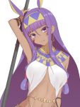  1girl animal_ears bangs blush breasts commentary_request dark_skin earrings elfenlied22 facial_mark fate/grand_order fate_(series) hairband highres holding hoop_earrings jackal_ears jewelry long_hair looking_at_viewer medium_breasts nitocris_(fate/grand_order) purple_eyes purple_hair sidelocks simple_background smile solo very_long_hair white_background 