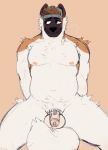  2019 akita american_akita anthro backwards_hat balls blush breathing canid canine canis chastity_cage chastity_device desertmotels domestic_dog hi_res humanoid_penis kai_(desertmotels) male mammal navel nipples nude penis slightly_chubby solo spitz submissive submissive_male 