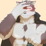  1:1 2017 5_fingers abs anthro canid canine canis clothing digital_media_(artwork) fingers front_view fur hi_res horkeukamui kemono male mammal multicolored_body multicolored_fur muscular muscular_male pecs simple_background solo tokyo_afterschool_summoners tukae_nai video_games wolf 