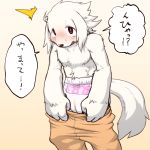  1:1 2019 anthro black_nose blush canid canine canis clothing diaper domestic_dog fur hi_res japanese_text male mammal open_mouth pajamas solo speech_bubble standing text translation_request tsuchi_dash undressing white_body white_fur 