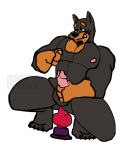  2019 anthro balls bob_miller_(v--r) canid canine canis claws dildo dobermann domestic_dog erection facial_hair feet fur goatee hi_res knot looking_pleasured male mammal masturbation nipple_play nipples pecs penis pinscher riding sex_toy solo thick_thighs toy v--r 